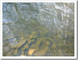 IMG_7200 IMG_7200