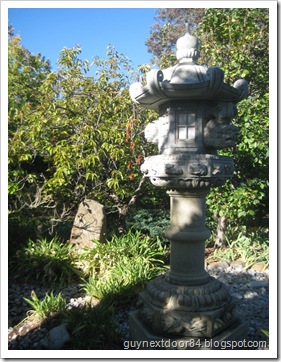 IMG_7416 IMG_7416
