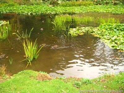[IMG_7654[13].jpg]