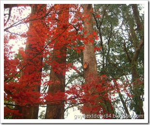 IMG_7745 IMG_7745