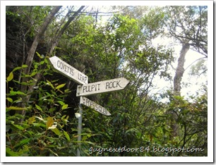 IMG_2259 IMG_2259