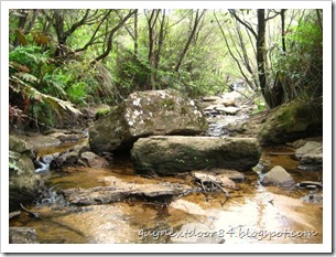 IMG_2260 IMG_2260