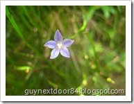IMG_2295 IMG_2295