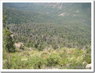 IMG_2335 IMG_2335