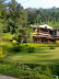 Munnar (895).jpg