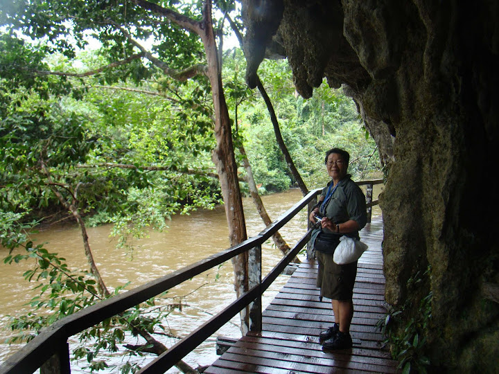 Mulu Park Tracks between Caves