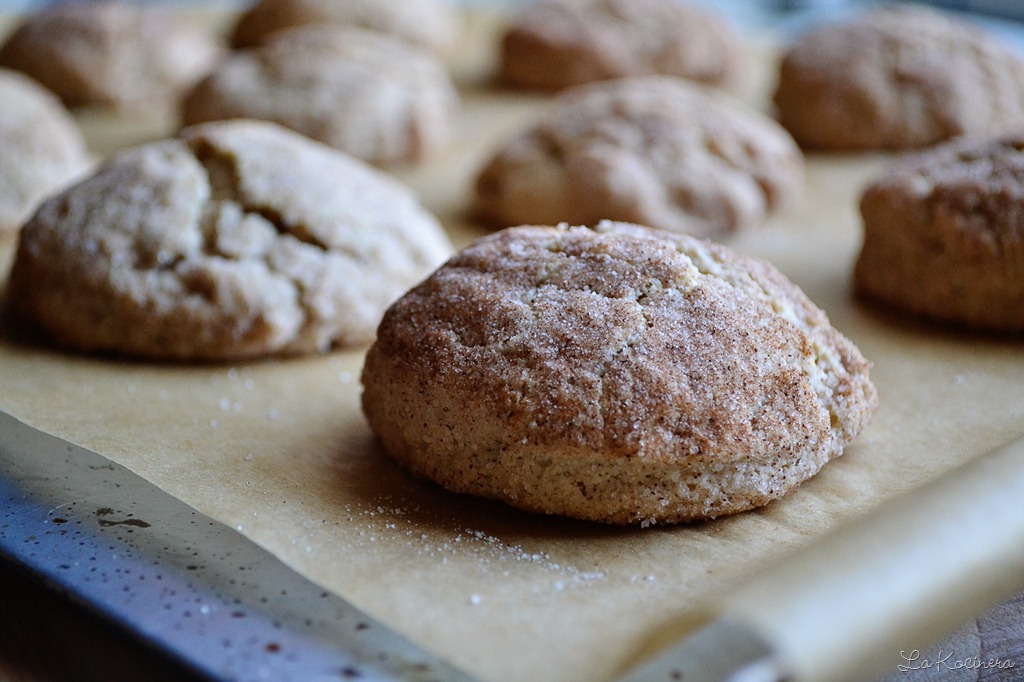 [snickerdoodles-29.jpg]