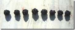 Blackberries 4[3]