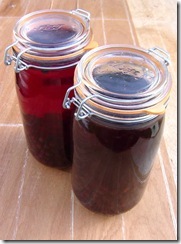 Sloe Gin Jars 1