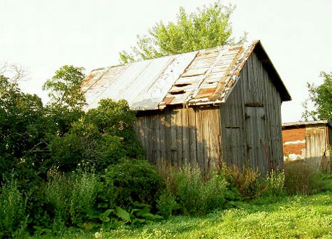 [shed 9[2].jpg]