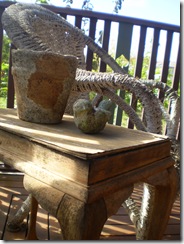 April 2010 again 059