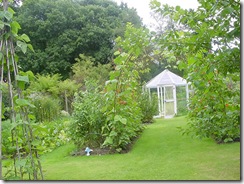 vegie patch www.hartwoodhousebandb.co.uk