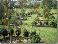 April 2010 again 043