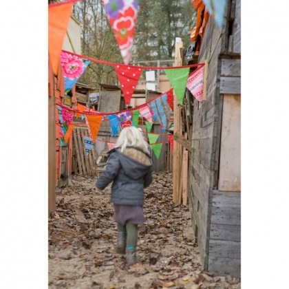 [lark bunting[2].jpg]