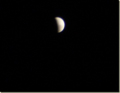 June more June! 2010 024