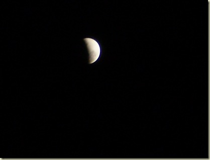 June more June! 2010 025