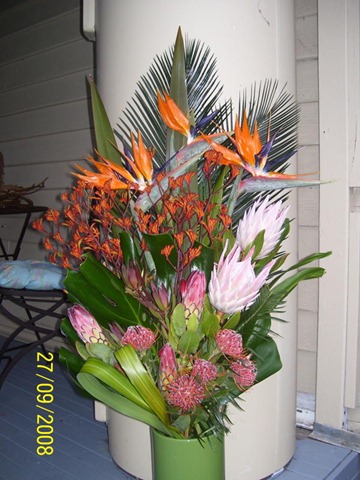 [flowers20100795.jpg]