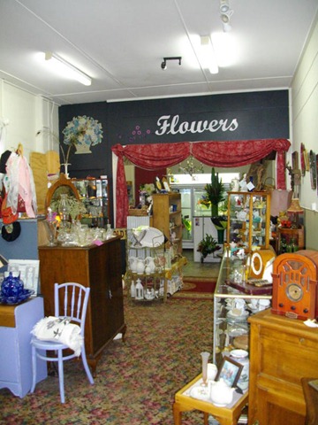[flowers20101485.jpg]