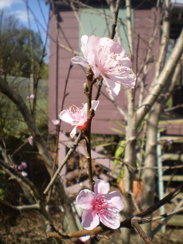 [september20100033.jpg]