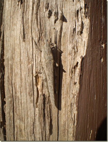 september 2010 030