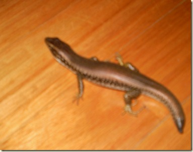 september 2010 027