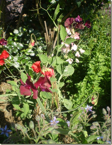 october 2010 036
