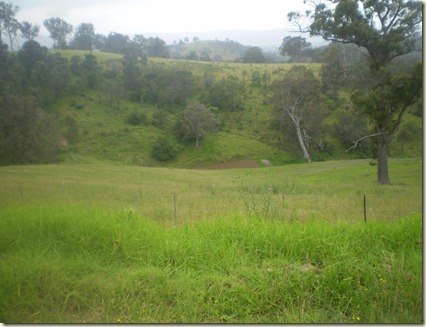 december 2010 044
