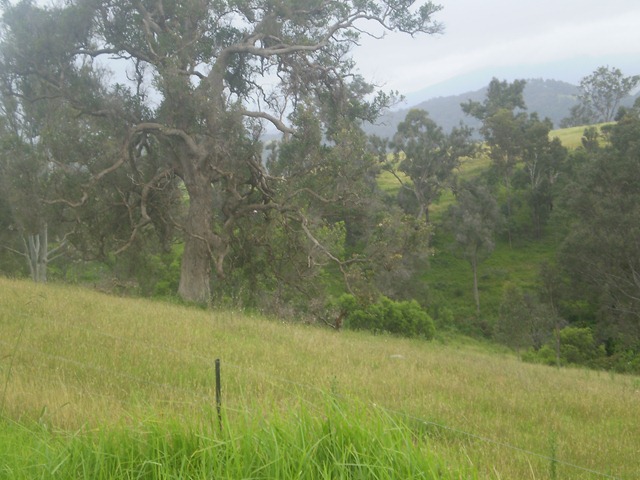 [december20100463.jpg]
