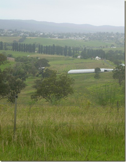 december 2010 062