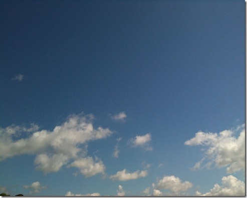 [flood-march-2011-039_thumb22.jpg]