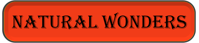 Picture2.png