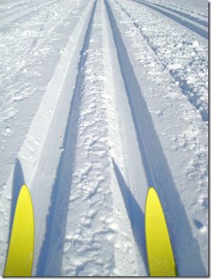 buying-cross-country-skis.s600x600