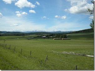 DSCN0233