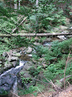 CIMG0269.JPG Photo