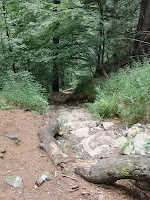 CIMG0293.JPG