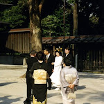 meiji-schrein-8.jpg