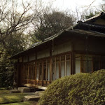 meiji-schrein-5.jpg