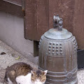 Kurashiki-71.JPG