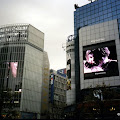 shibuya.jpg