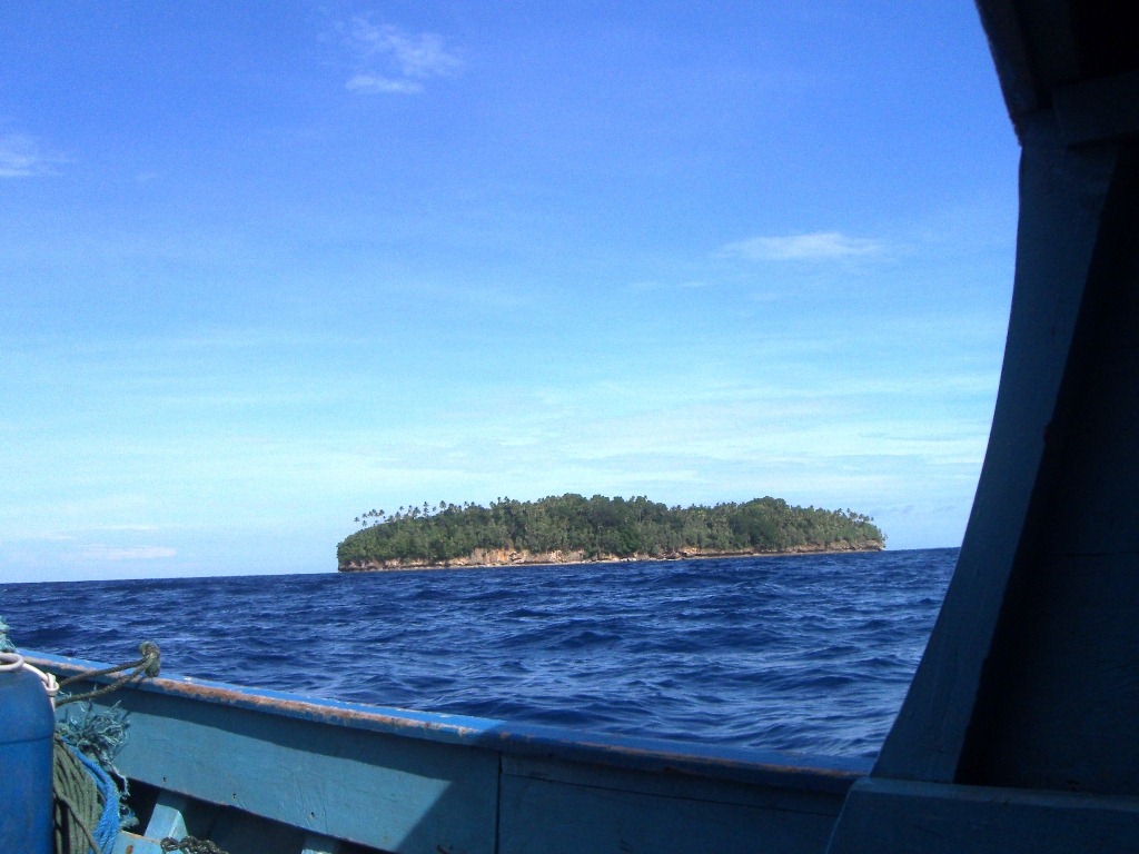 [view-from-the-boat6.jpg]