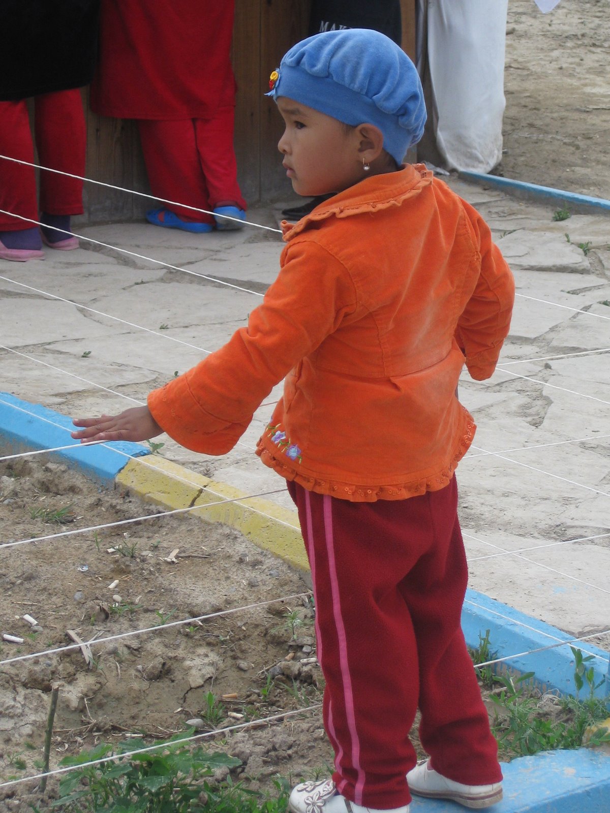 [IMG_7049.JPG]