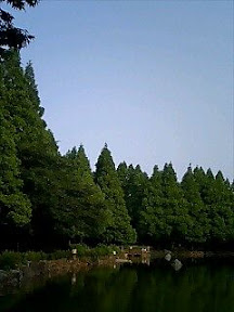060624_1709~0001.jpg