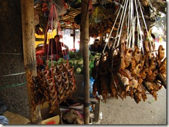 IMG_0153 IMG_0153