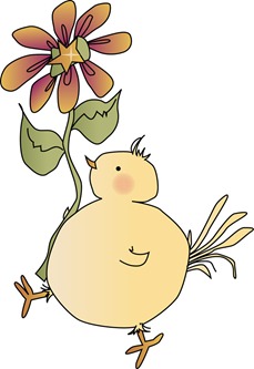 Chick and Flower