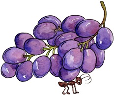imagem decoupage clipart Ant n Grapes
