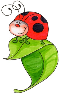 Ladybug02