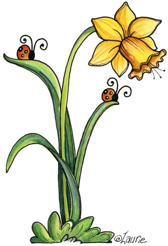 [Daffodil[3].jpg]