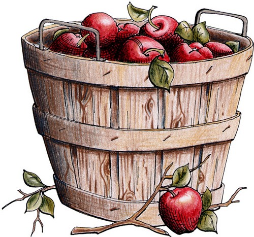 [Apple Basket[3].jpg]