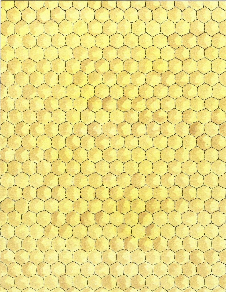 [BGD Honeycomb[4].jpg]
