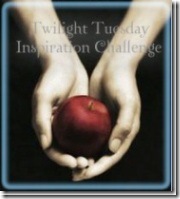 TTIC Challenge Logo